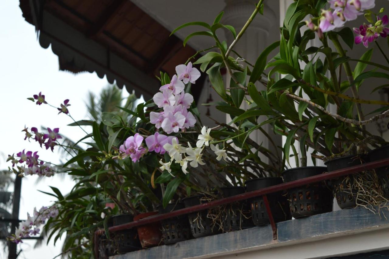 Dream Catcher Home Stay Kochi 외부 사진